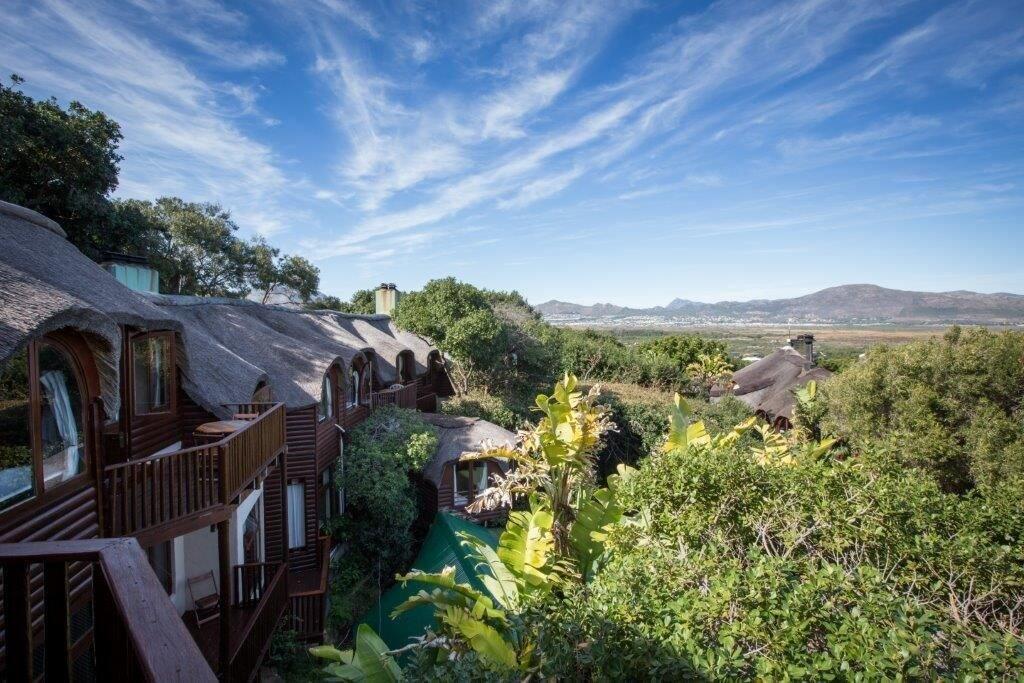 Monkey Valley Resort Noordhoek Dış mekan fotoğraf